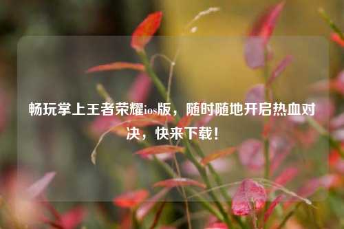 畅玩掌上王者荣耀ios版，随时随地开启热血对决，快来下载！