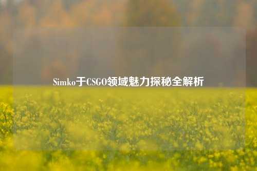 Simko于CSGO领域魅力探秘全解析