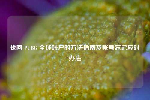 找回 PUBG 全球账户的方法指南及账号忘记应对办法