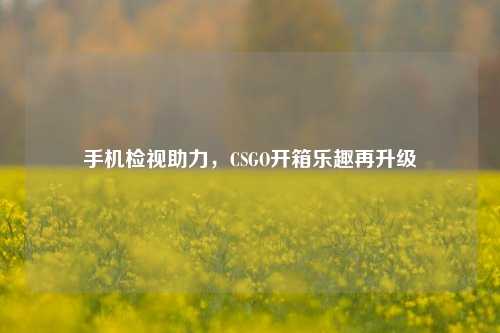 手机检视助力，CSGO开箱乐趣再升级