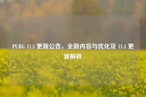 PUBG 11.3 更新公告，全新内容与优化及 11.1 更新解析