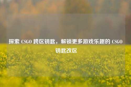 探索 CSGO 跨区钥匙，解锁更多游戏乐趣的 CSGO 钥匙改区