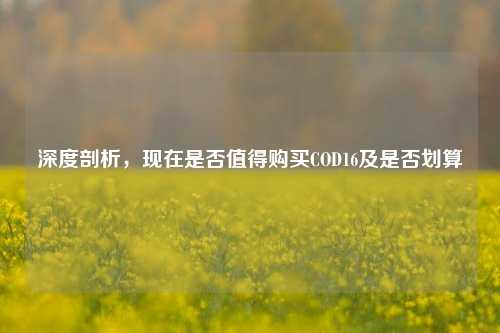深度剖析，现在是否值得购买COD16及是否划算