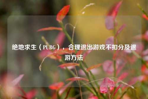 绝地求生（PUBG），合理退出游戏不扣分及退游方法