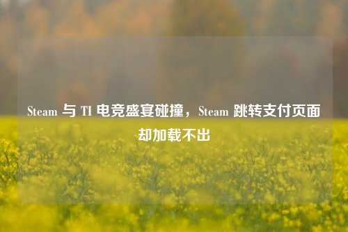 Steam 与 TI 电竞盛宴碰撞，Steam 跳转支付页面却加载不出