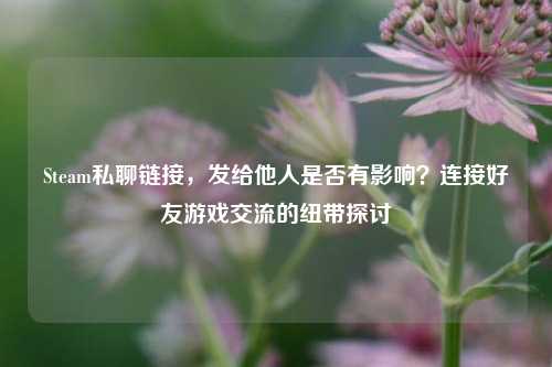 Steam私聊链接，发给他人是否有影响？连接好友游戏交流的纽带探讨