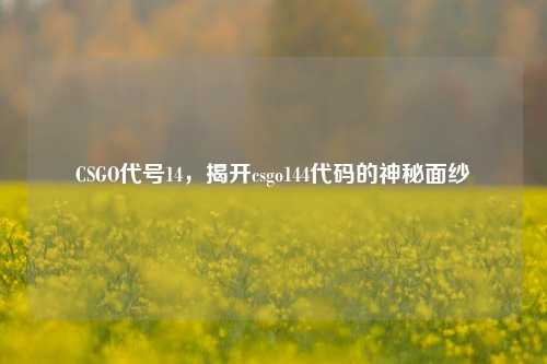 CSGO代号14，揭开csgo144代码的神秘面纱