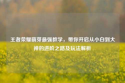 王者荣耀萌芽最强教学，带你开启从小白到大神的进阶之路及玩法解析