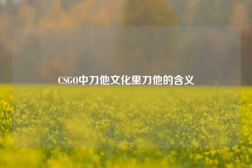 CSGO中刀他文化里刀他的含义