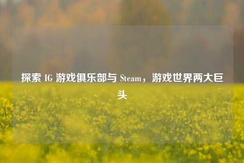 探索 IG 游戏俱乐部与 Steam，游戏世界两大巨头