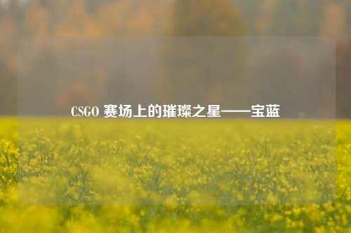 CSGO 赛场上的璀璨之星——宝蓝
