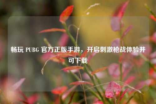 畅玩 PUBG 官方正版手游，开启刺激枪战体验并可下载