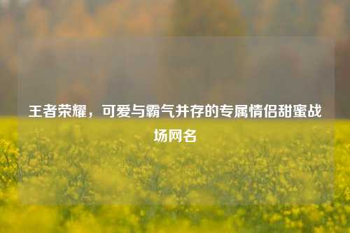 王者荣耀，可爱与霸气并存的专属情侣甜蜜战场网名