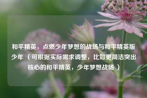和平精英，点燃少年梦想的战场与和平精英版少年 （可根据实际需求调整，比如更简洁突出核心的和平精英，少年梦想战场 ）