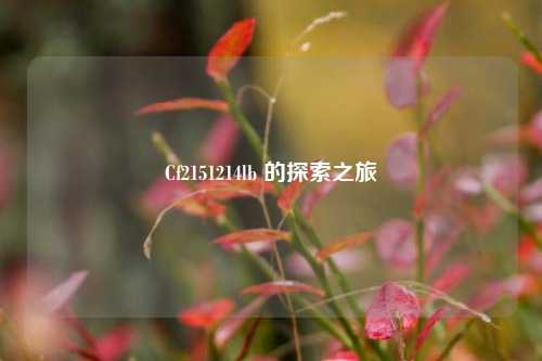 Cf2151214lb 的探索之旅