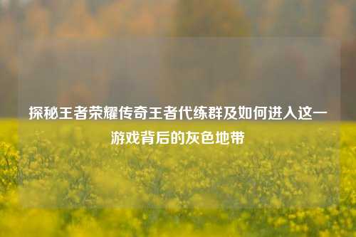 探秘王者荣耀传奇王者代练群及如何进入这一游戏背后的灰色地带