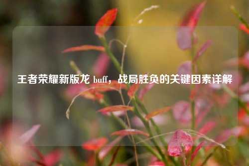 王者荣耀新版龙 buff,战局胜负的关键因素详解