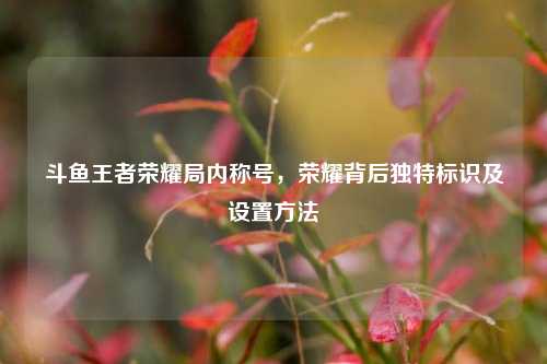 斗鱼王者荣耀局内称号，荣耀背后独特标识及设置方法