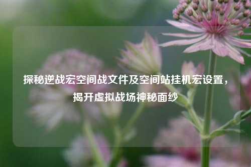 探秘逆战宏空间战文件及空间站挂机宏设置,揭开虚拟战场神秘面纱