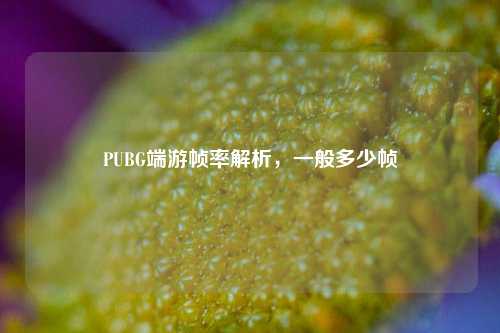 PUBG端游帧率解析，一般多少帧