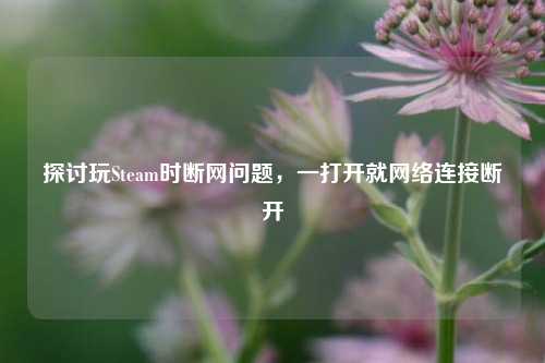 探讨玩Steam时断网问题,一打开就网络连接断开