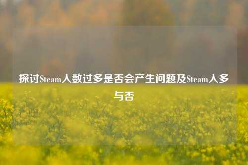 探讨Steam人数过多是否会产生问题及Steam人多与否