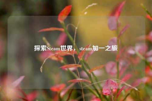 探索Steam世界,steam加一之旅