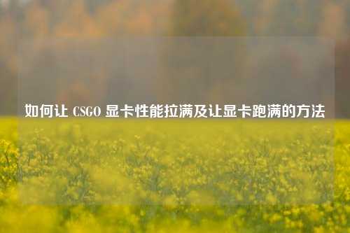 如何让 CSGO 显卡性能拉满及让显卡跑满的方法