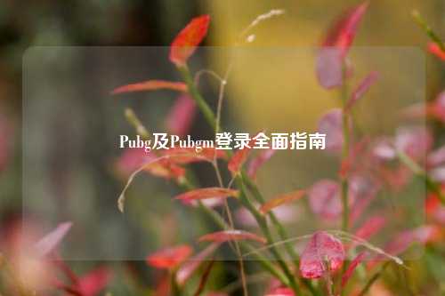 Pubg及Pubgm登录全面指南