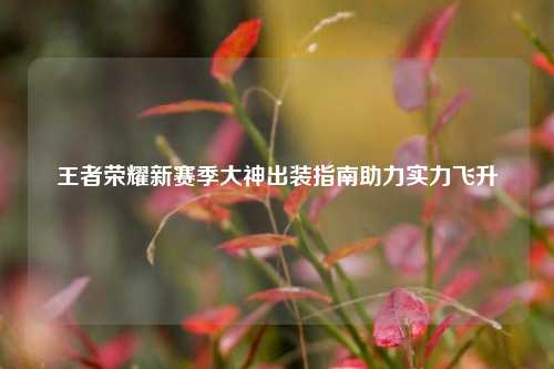 王者荣耀新赛季大神出装指南助力实力飞升