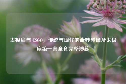 太极扇与 CSGO,传统与现代的奇妙碰撞及太极扇第一套全套完整演练