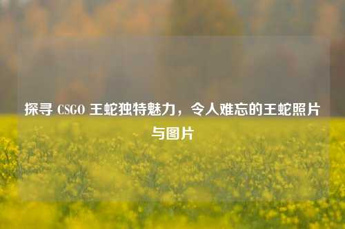 探寻 CSGO 王蛇独特魅力,令人难忘的王蛇照片与图片