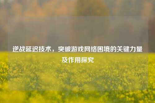 逆战延迟技术，突破游戏网络困境的关键力量及作用探究