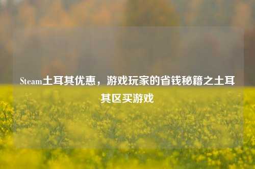 Steam土耳其优惠,游戏玩家的省钱秘籍之土耳其区买游戏