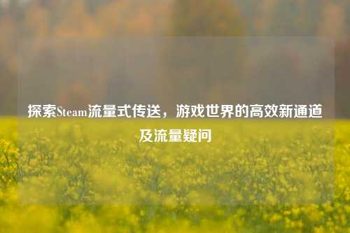 探索Steam流量式传送,游戏世界的高效新通道及流量疑问