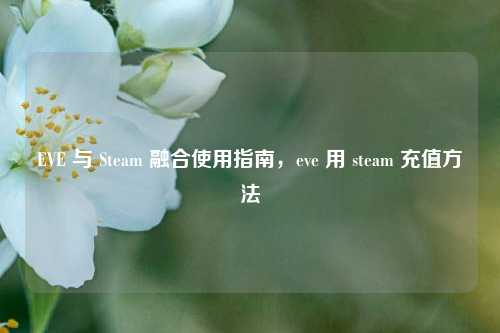 EVE 与 Steam 融合使用指南,eve 用 steam 充值方法