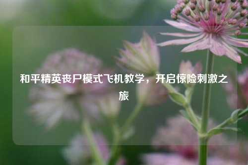 和平精英丧尸模式飞机教学，开启惊险刺激之旅