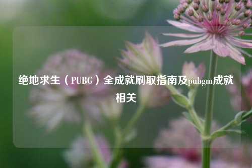 绝地求生（PUBG）全成就刷取指南及pubgm成就相关