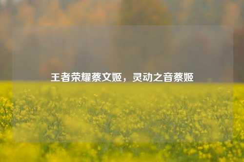 王者荣耀蔡文姬,灵动之音蔡姬