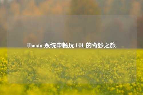 Ubuntu 系统中畅玩 LOL 的奇妙之旅