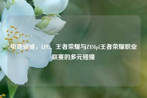 电竞领域,LPL、王者荣耀与ZYSlpl王者荣耀职业联赛的多元碰撞
