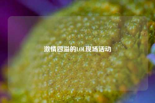 激情四溢的LOL现场活动