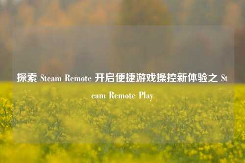 探索 Steam Remote 开启便捷游戏操控新体验之 Steam Remote Play