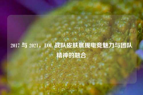 2017 与 2021,LOL 战队皮肤展现电竞魅力与团队精神的融合