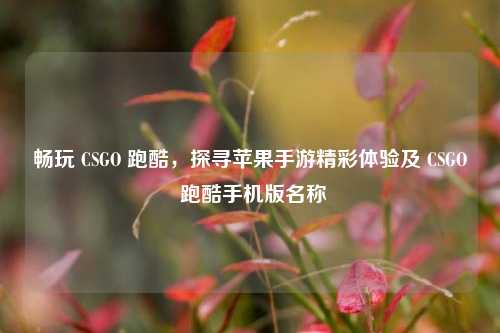 畅玩 CSGO 跑酷,探寻苹果手游精彩体验及 CSGO 跑酷手机版名称