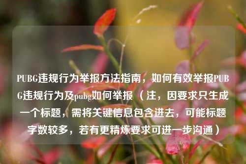 PUBG违规行为举报方法指南,如何有效举报PUBG违规行为及pubg如何举报 (注,因要求只生成一个标题,需将关键信息包含进去,可能标题字数较多,若有更精炼要求可进一步沟通)