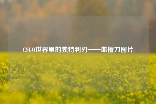 CSGO世界里的独特利刃——血槽刀图片