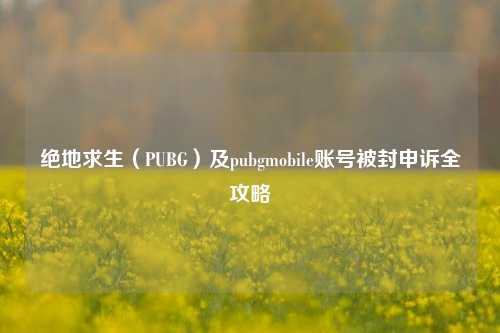 绝地求生(PUBG)及pubgmobile账号被封申诉全攻略