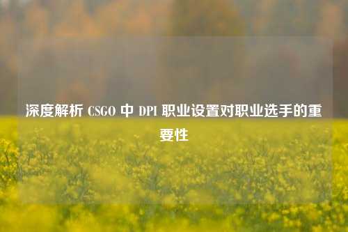 深度解析 CSGO 中 DPI 职业设置对职业选手的重要性