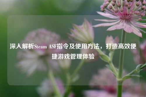 深入解析Steam ASF指令及使用方法，打造高效便捷游戏管理体验